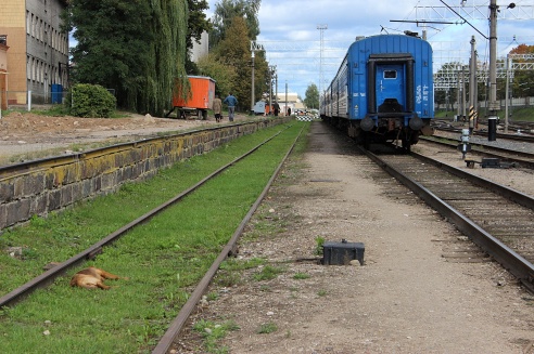 Фоторепортаж: улица Буденного сегодня