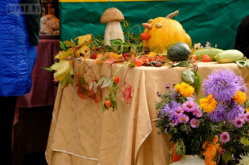 На ярмарке в Могилёве овощи покупать выгоднее, чем в магазинах (цены и ассортимент)