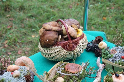 14 сентября в деревне Казимирово прошёл "Экофест–2013