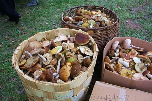 14 сентября в деревне Казимирово прошёл "Экофест–2013