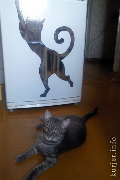 Фотоокна от Анны Рыжей