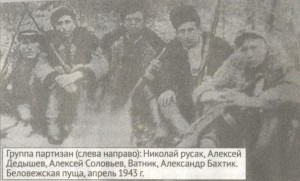 Рэйкавыя войны партызан на Ваўкавышчыне