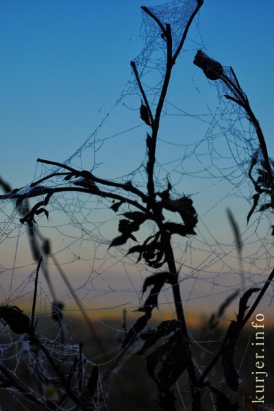 Фотоокна. 17 октября 2013. Про утро