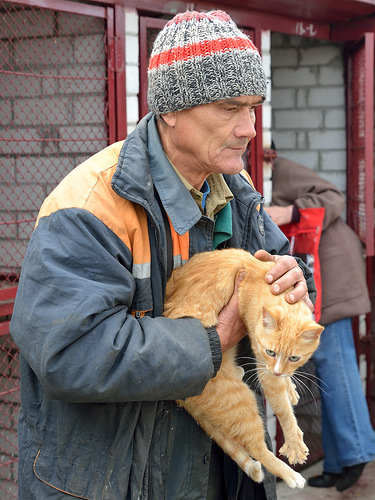 Забери меня домой Забери меня домой
