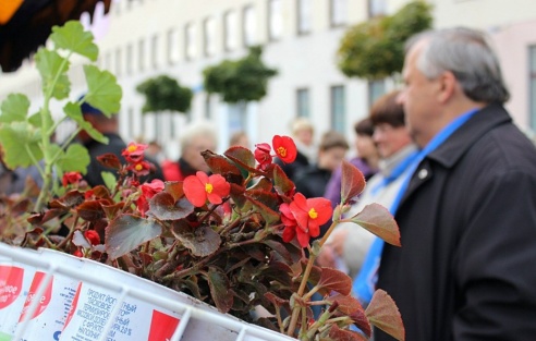 В середине октября в Гродно пройдет распродажа овощей, мяса и саженцев