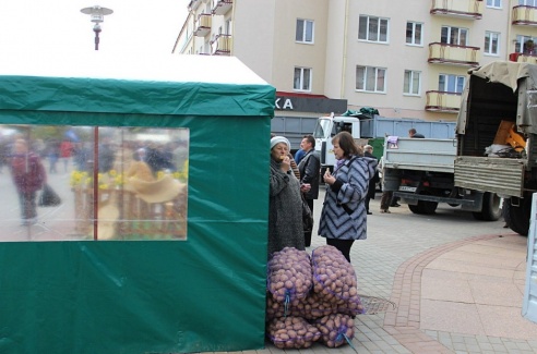 В середине октября в Гродно пройдет распродажа овощей, мяса и саженцев