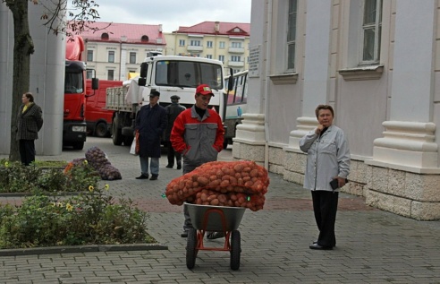 В середине октября в Гродно пройдет распродажа овощей, мяса и саженцев