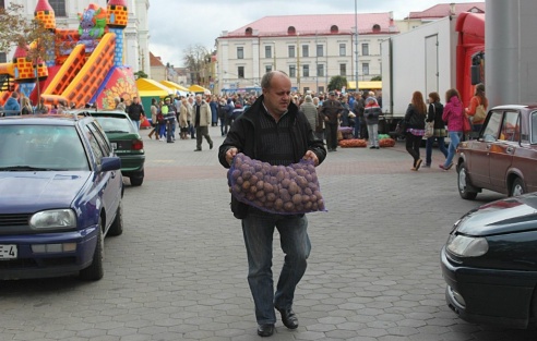 В середине октября в Гродно пройдет распродажа овощей, мяса и саженцев