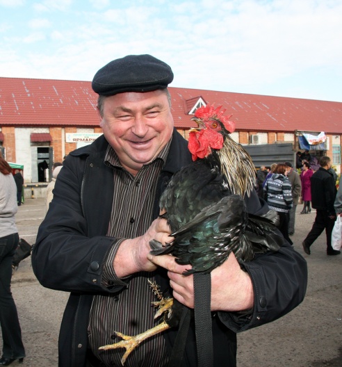 На рынок и… за дровами! В Поставах прошла традиционная осенняя ярмарка (+фото)
