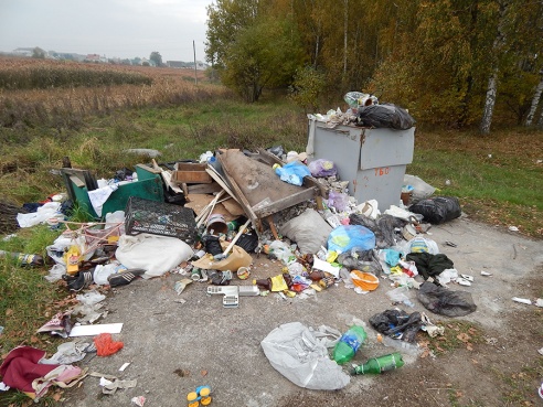 Свалка мусора на Дамбе (фото)