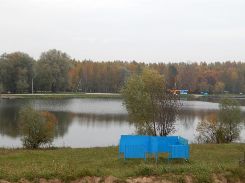 Свалка мусора на Дамбе (фото)