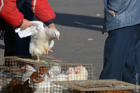 Фотоокна. 11 октября 2013 (обновлено)