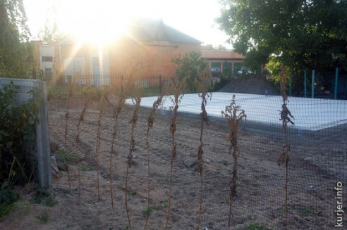 Фотоокна от Анны Рыжей