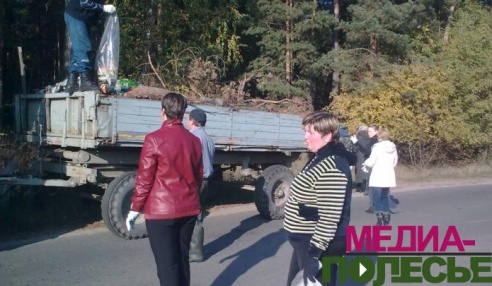 210 гектаров лесов Лунинетчины стали чище