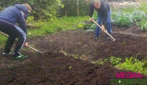 Красный Крест. Протяните руку помощи старикам в преддверии зимы