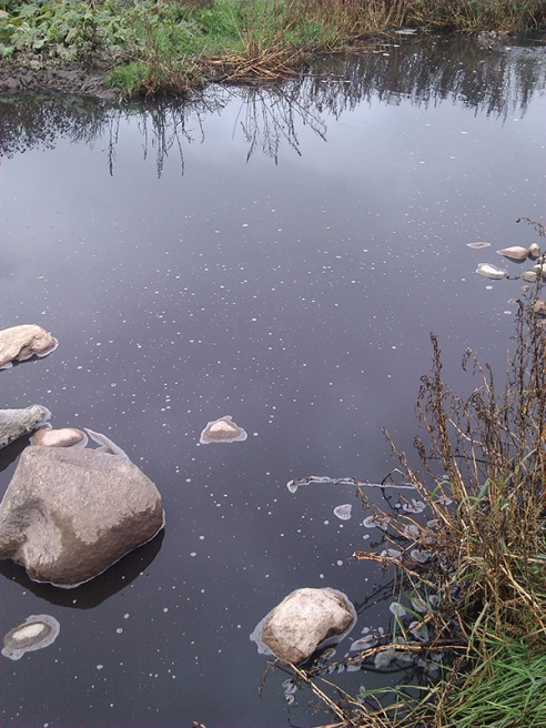 В Волковысском районе снова потекли навозные реки