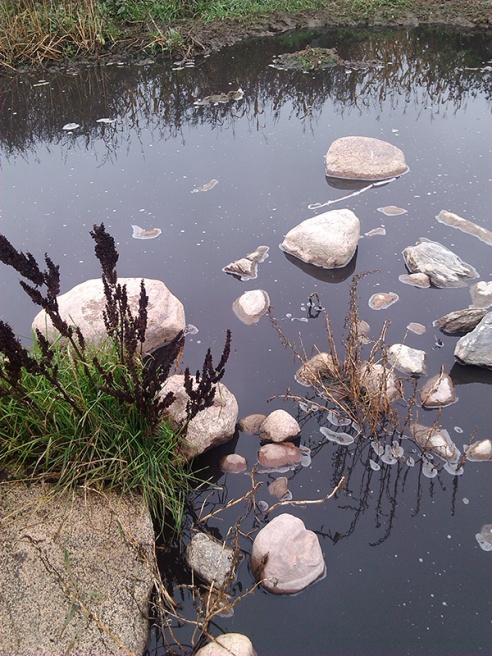 В Волковысском районе снова потекли навозные реки