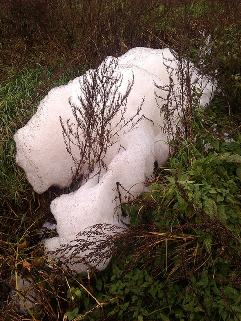 В Волковысском районе снова потекли навозные реки