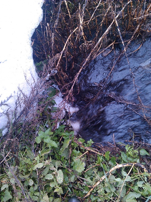 В Волковысском районе снова потекли навозные реки