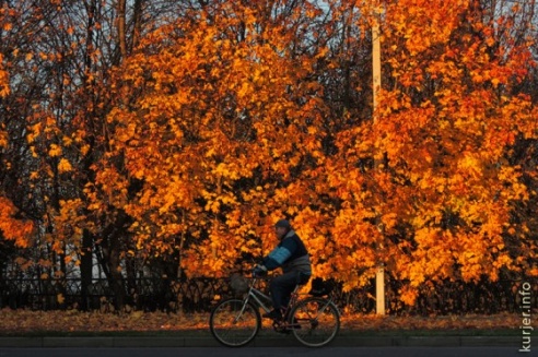Фотоокна. 17 октября 2013. Про утро