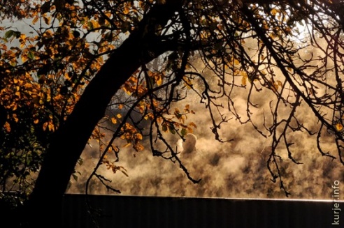 Фотоокна. 17 октября 2013. Про утро