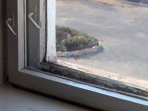 Настаўніца з Горацкага раёна баіцца за лёс сваёй прыёмнай дачкі