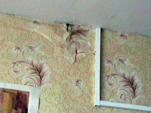 Настаўніца з Горацкага раёна баіцца за лёс сваёй прыёмнай дачкі