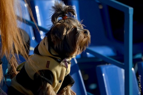 Вопрос ребром: пойдёт ли ФК «Слуцк» в высшую лигу (+бонус)