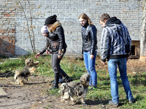 Забери меня домой