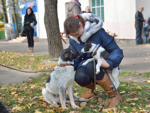 Забери меня домой