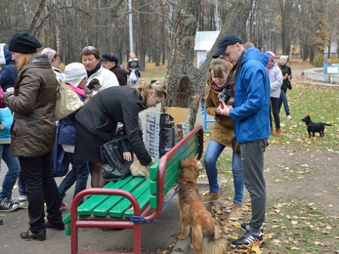 Забери меня домой