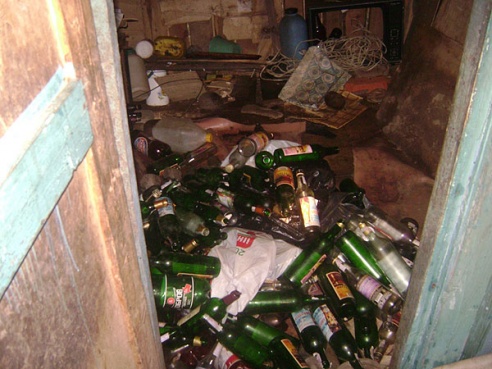 В Дрибинском районе пожар унес жизни двух братьев