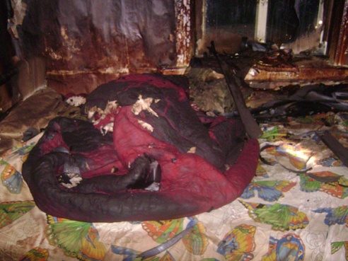 В Дрибинском районе пожар унес жизни двух братьев