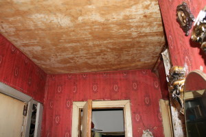 ЦАРСТВО ГРЯЗИ, МУСОРА И СМРАДА