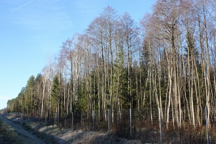 Биологический заказник местного значения «Ивановский»