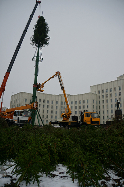 Главную новогоднюю елку области устанавливают в Могилеве