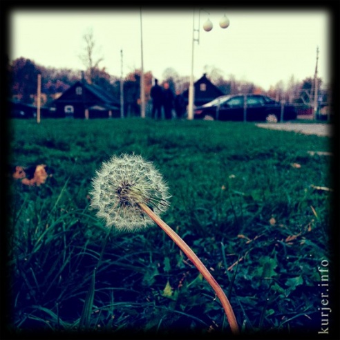 Фотоокна. 4 ноября 2013