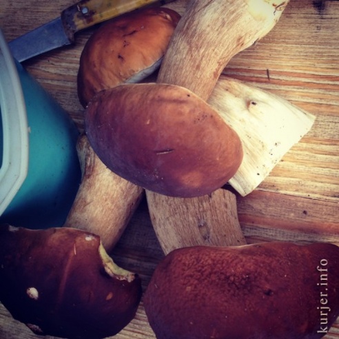 Фотоокна. 5 ноября 2013