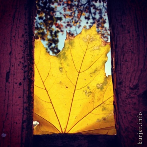 Фотохроника октября—2013. Слуцк