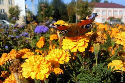 Фотохроника октября—2013. Слуцк