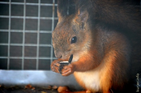 Фотохроника октября—2013. Слуцк