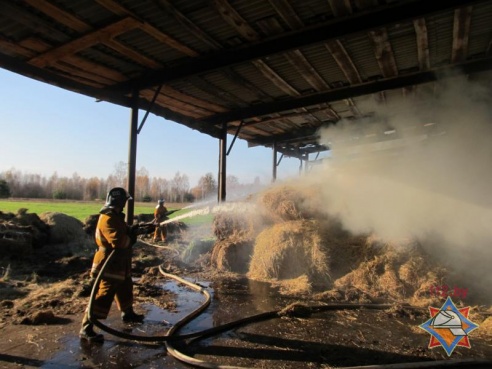Пожар на складе в Петриковском районе уничтожил 10 тонн сена (фото)