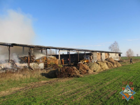 Пожар на складе в Петриковском районе уничтожил 10 тонн сена (фото)