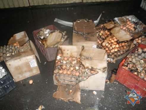 На пожаре в речицком магазине сгорели витрина и куриные яйца (фото)