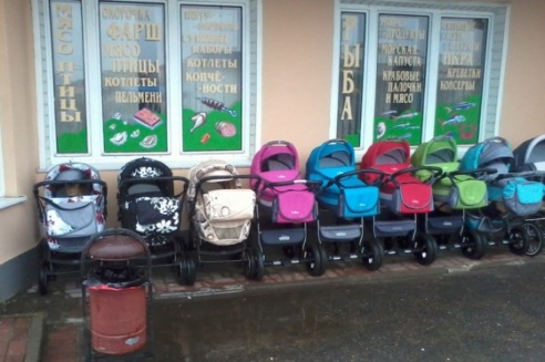 Фотоэкспансия: котэ в коляске и играющий пёс