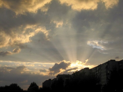 Фотоэкспансия: котэ в коляске и играющий пёс