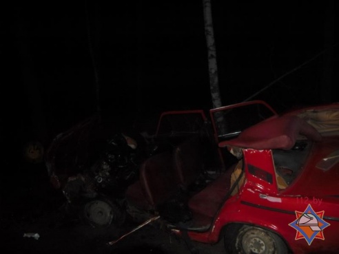 В ДТП под Светлогорском погиб пассажир легковушки (фото)
