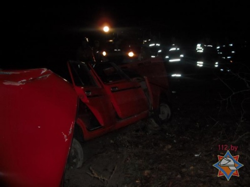 В ДТП под Светлогорском погиб пассажир легковушки (фото)
