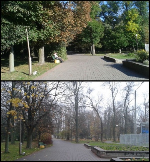 Фотоэкспансия: Руслан Березовский о слуцком кабриолете и других «цікавостках»