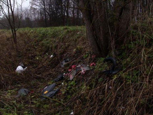 В Барановичском районе парень на мопеде врезался в дерево и погиб